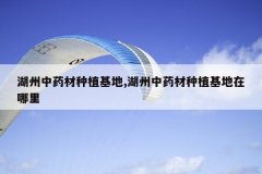 <b>������ҩ����ֲ����,������ҩ����ֲ����������</b>