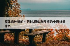 <b>ԭ��̬��ֲ����ҩ��,ԭ��̬��ֲ����ҩ����ʲô</b>