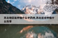 <b>�ձ���������ֲʲô��ҩ��,�ձ��ʺ���ֲʲô����</b>