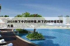 <b>2016������ҩ����ֲ,����ҩ����ֲʵʩ����</b>