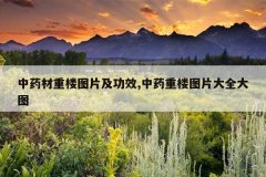 <b>��ҩ����¥ͼƬ����Ч,��ҩ��¥ͼƬ��ȫ��ͼ</b>