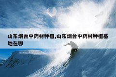 <b>ɽ����̨��ҩ����ֲ,ɽ����̨��ҩ����ֲ��������</b>