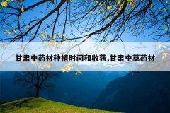 <b>������ҩ����ֲʱ����ջ�,�����в�ҩ��</b>