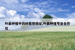 <b>Ҷ����ֲ��ҩ�Ļ��ص�ַ,Ҷ����ֲרҵ������</b>