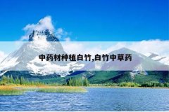 <b>��ҩ����ֲ����,�����в�ҩ</b>