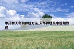 <b>��ҩ���춬����ֲ����,�춬��ֲ������Ƶ�̳�</b>