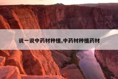 <b>˵һ˵��ҩ����ֲ,��ҩ����ֲҩ��</b>