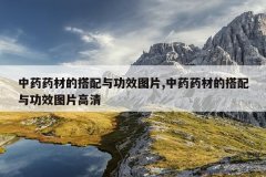 <b>��ҩҩ�ĵĴ����빦ЧͼƬ,��ҩҩ�ĵĴ����빦ЧͼƬ����</b>