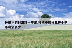 <b>��ֲ��ҩ������ʮƽ��,��ֲ��ҩ������ʮƽ���������</b>