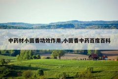 <b>��ҩ��С���㹦Ч����,С������ҩ�ٶȰٿ�</b>