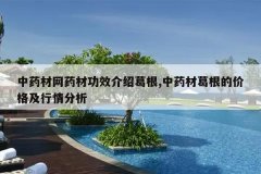 <b>��ҩ����ҩ�Ĺ�Ч���ܸ��,��ҩ�ĸ���ļ۸��������</b>