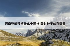 <b>���ϵǷ���ֲʲô��ҩ��,�Ƿ�����վ������</b>