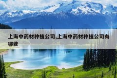 <b>�Ϻ���ҩ����ֲ��˾,�Ϻ���ҩ����ֲ��˾����Щ</b>