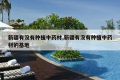 <b>�½���û����ֲ��ҩ��,�½���û����ֲ��ҩ�ĵĻ���</b>