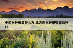 <b>��ҩ����ֲƷ�ֱ���,����ҩ����ֲ��ЩƷ�ֺ�</b>