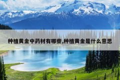 <b>��ֲ�ƽ���ҩ������Щ,��ֲ�ƽ���ʲô��˼</b>