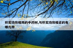 <b>��ʵ��Ч��ͬ����ҩ��,����ʵ��Ч��������ļ���</b>