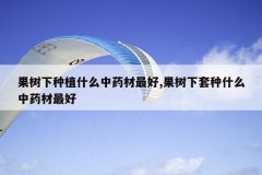 <b>��������ֲʲô��ҩ�����,����������ʲô��ҩ�����</b>