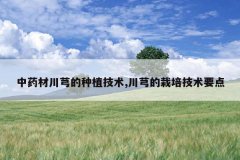 <b>��ҩ�Ĵ�ܺ����ֲ����,��ܺ�����༼��Ҫ��</b>