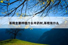 <b>������Ҫ��ֲʲô��ҩ��,������ʲô</b>