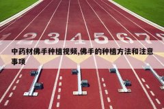 <b>��ҩ�ķ�����ֲ��Ƶ,���ֵ���ֲ������ע������</b>