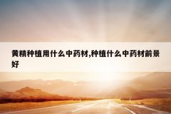 <b>�ƾ���ֲ��ʲô��ҩ��,��ֲʲô��ҩ��ǰ����</b>