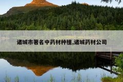 <b>�����������ҩ����ֲ,���ҩ�Ĺ�˾</b>