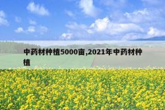 <b>��ҩ����ֲ5000Ķ,2021����ҩ����ֲ</b>