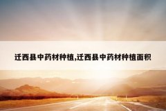 <b>Ǩ������ҩ����ֲ,Ǩ������ҩ����ֲ���</b>