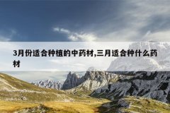 <b>3�·��ʺ���ֲ����ҩ��,�����ʺ���ʲôҩ��</b>