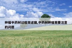 <b>��ֲ��ҩ�Ĺ��̼���ͼ,��ҩ����ֲ��Ҫע�������</b>