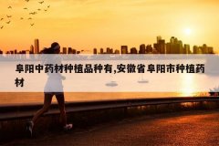 <b>������ҩ����ֲƷ����,����ʡ��������ֲҩ��</b>