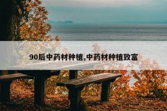 <b>90����ҩ����ֲ,��ҩ����ֲ�¸�</b>