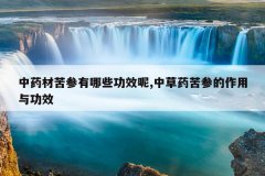 <b>��ҩ�Ŀ������Щ��Ч��,�в�ҩ��ε������빦Ч</b>
