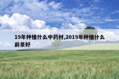 <b>19ֲʲôҩ,2019ֲʲôǰ</b>