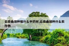 <b>����������ֲʲô��ҩ��,����������ʲôũ����</b>