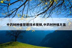 <b>��ҩ����ֲ����������Ƶ,��ҩ����ֲ����</b>