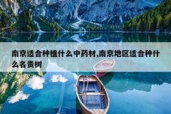 <b>�Ͼ��ʺ���ֲʲô��ҩ��,�Ͼ������ʺ���ʲô������</b>