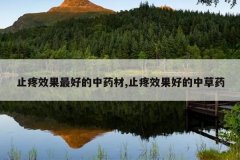<b>ֹ��Ч����õ���ҩ��,ֹ��Ч���õ��в�ҩ</b>