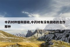 <b>��ҩ����ֲ�ͻ���,��ҩ����û�л��յĺ�������</b>