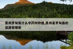 <b>�����޵���ʲô��ҩ����ֲ,����ʡ�޵��ص���Դ����Щ</b>