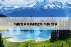 <b>��÷�ʲ���ҩ�Ĺ�Ч,��÷ �ʲ�</b>