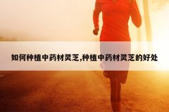 <b>�����ֲ��ҩ����֥,��ֲ��ҩ����֥�ĺô�</b>