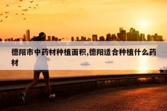 <b>��������ҩ����ֲ���,�����ʺ���ֲʲôҩ��</b>