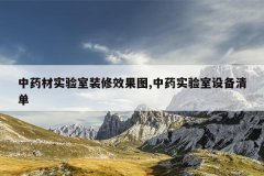 <b>��ҩ��ʵ����װ��Ч��ͼ,��ҩʵ�����豸�嵥</b>