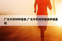 <b>��Ԫ��ҩ����ֲ��,��Ԫ��ҩ����ֲ����ֲ����</b>