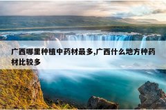 <b>����������ֲ��ҩ�����,����ʲô�ط���ҩ�ıȽ϶�</b>