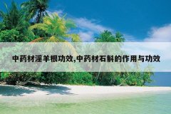 <b>��ҩ���������Ч,��ҩ��ʯ���������빦Ч</b>