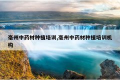 <b>������ҩ����ֲ��ѵ,������ҩ����ֲ��ѵ����</b>