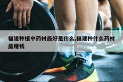 <b>������ֲ��ҩ�������ʲô,������ʲôҩ����׬Ǯ</b>